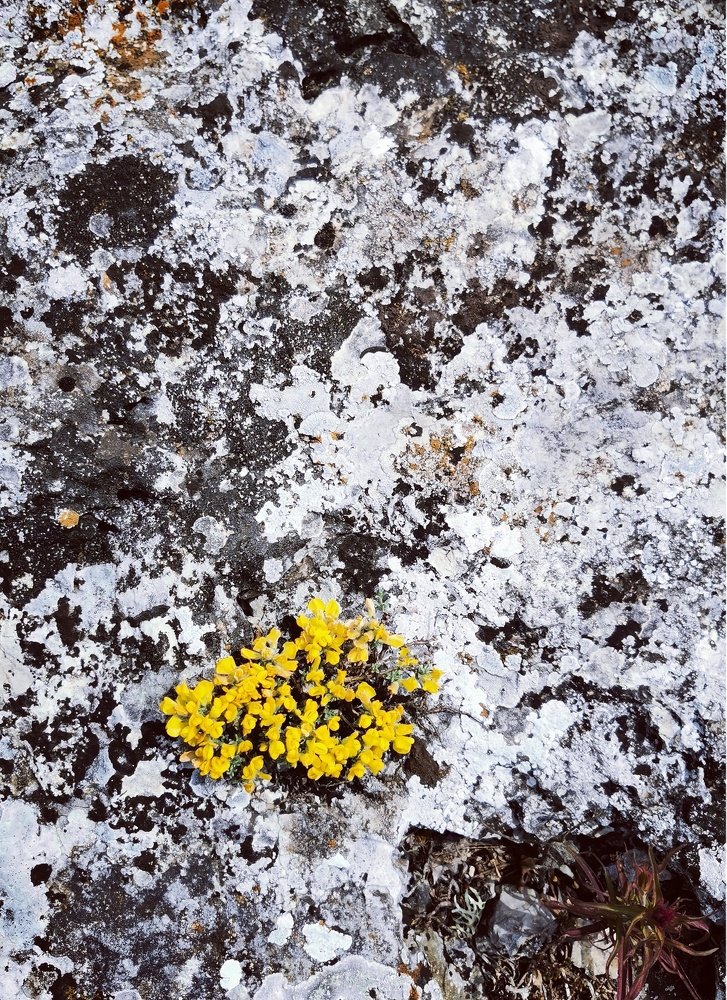 Photograph by Antonina Marchenko