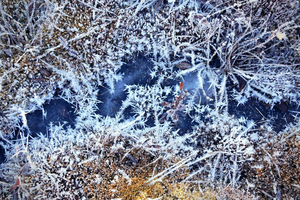 Photograph by Вероника Раевская