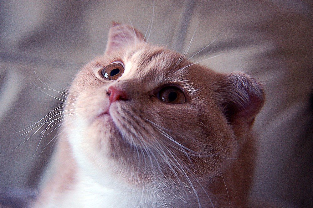 Грусть и надежда