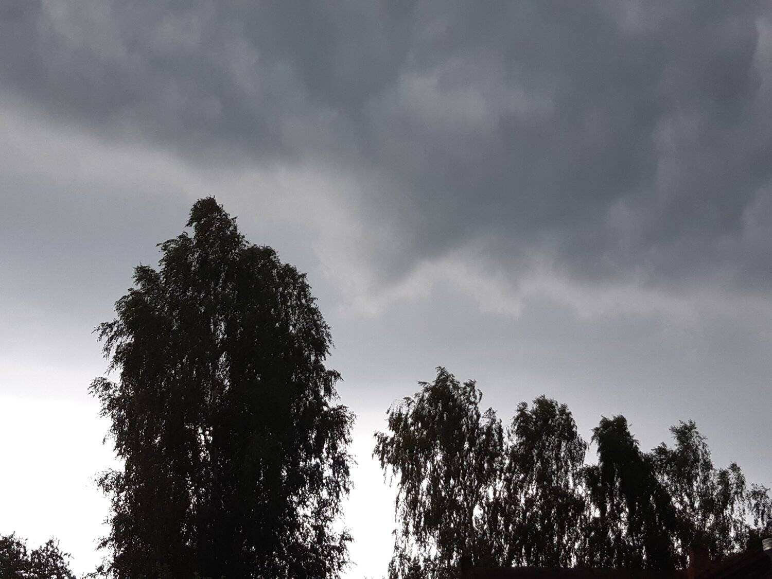 Photo #5212827