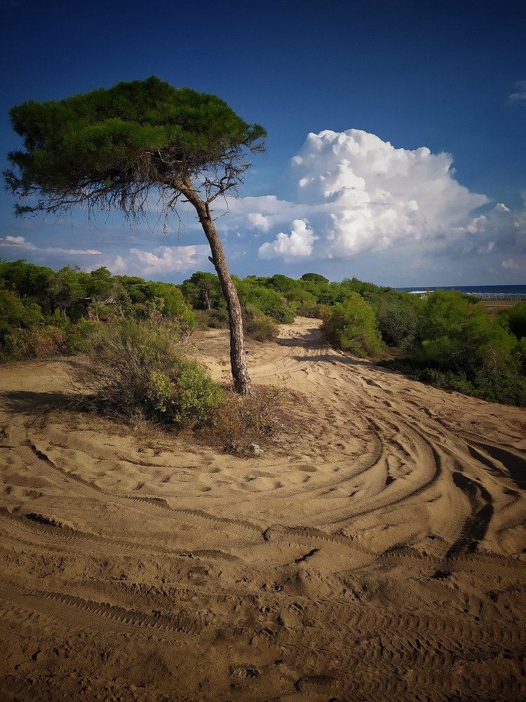 Гордый и одинокий!