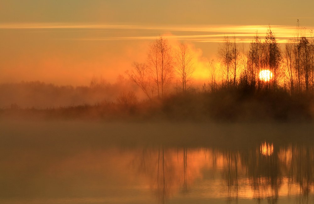 Пробивается
