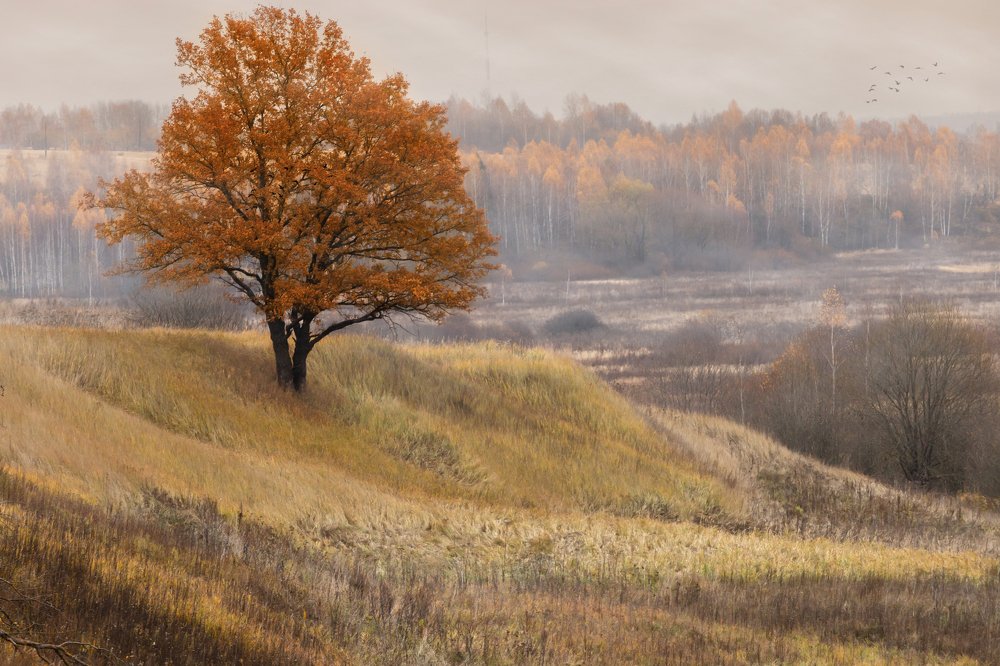 Photograph by Александр Симонов