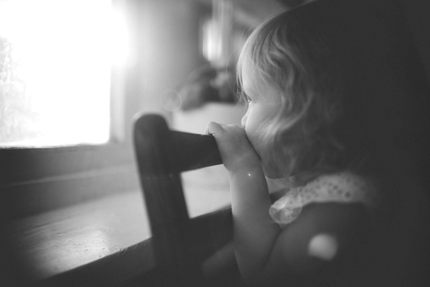 Photo #5212994