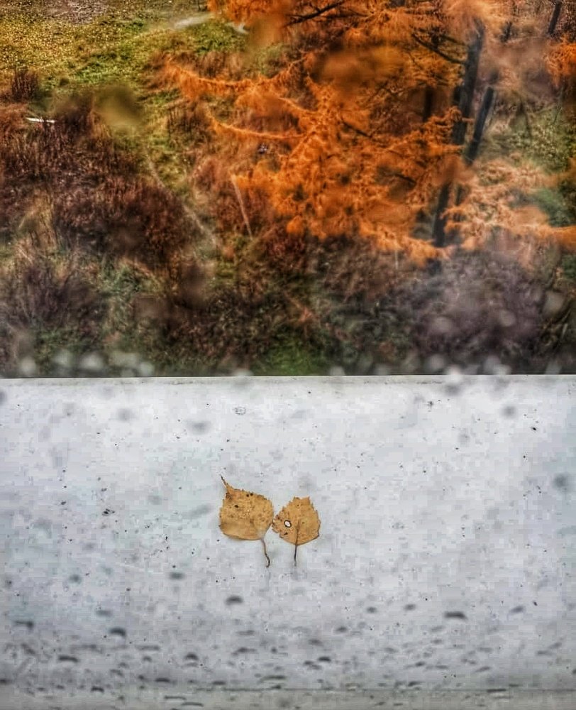 Photograph by Виолетта Беккер