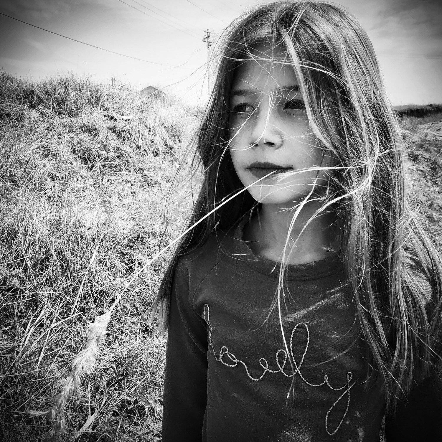 Photo #5213011