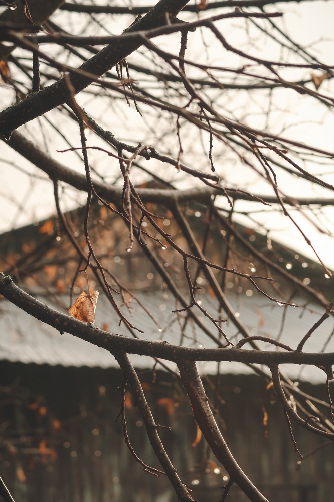 Photograph by Дина Нагимова