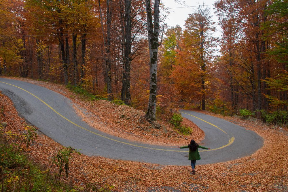 Photograph by Elham Khanpour