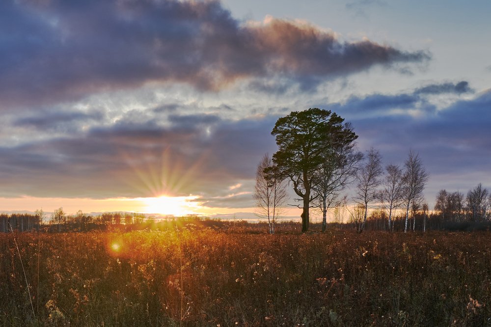 Photograph by Андрей Колеватов