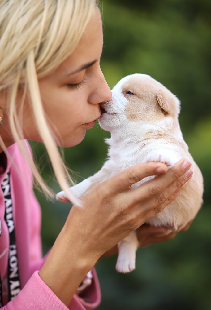 Photograph by Титаренко Ольга