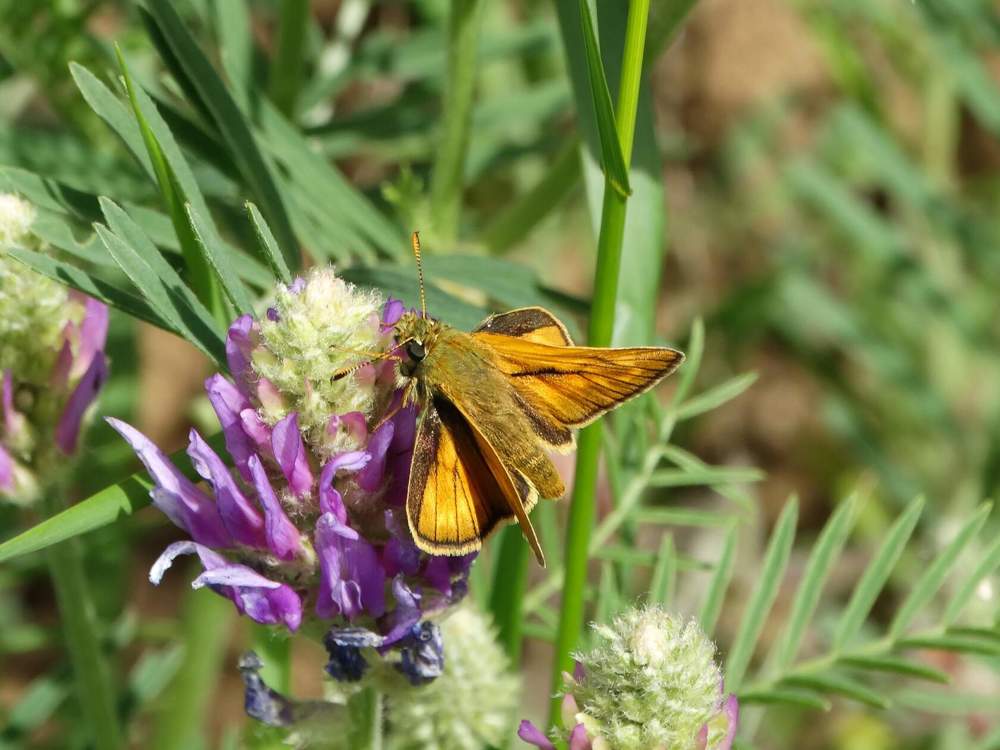 Photograph by Анжелика Трошина