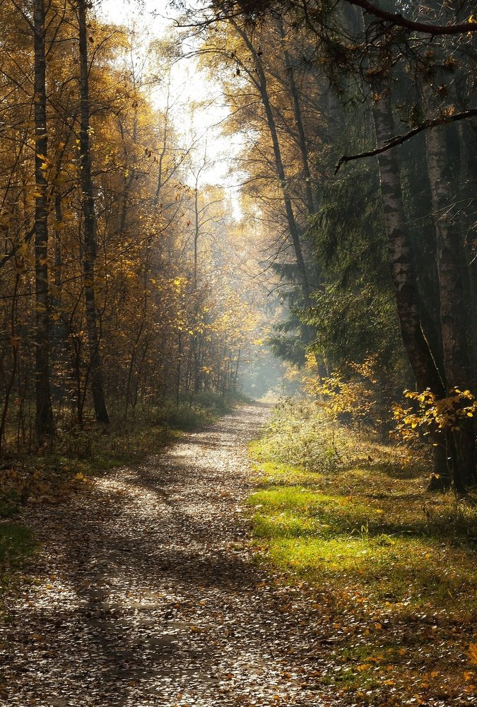 Photograph by Людмила М