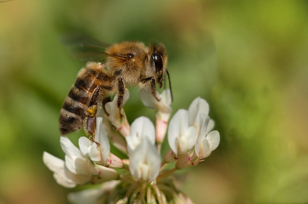 Photograph by Олеся