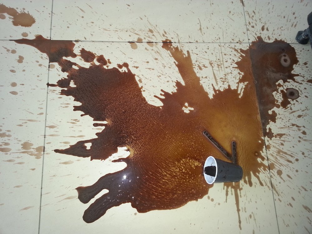 Photo #5213308