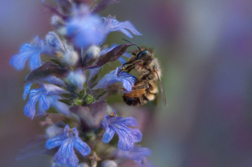 Photograph by Олеся