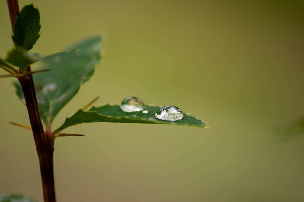 Photograph by Елена Клочкова