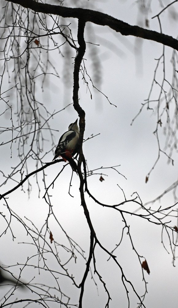 Photograph by Юрий Епифанцев