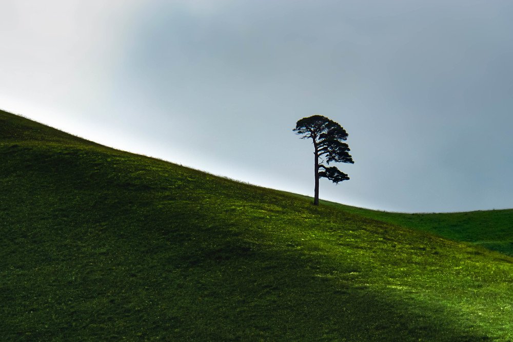 Photograph by  Юрий