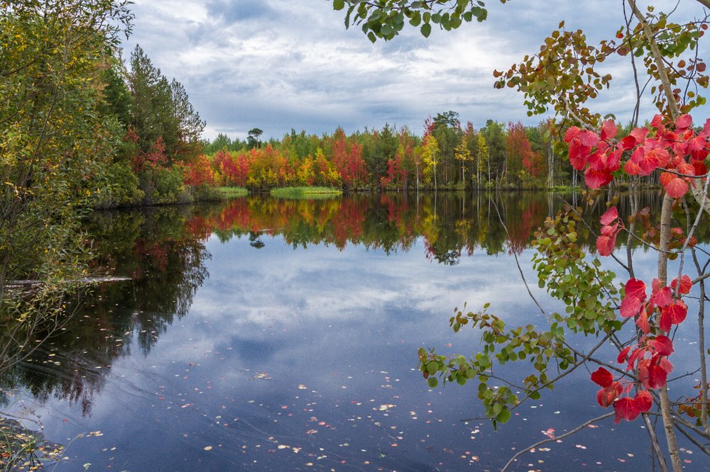 Приметы осени