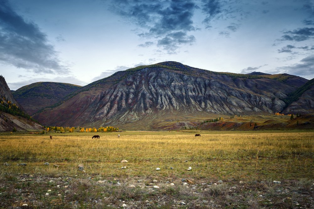 Горный Алтай осенью.
