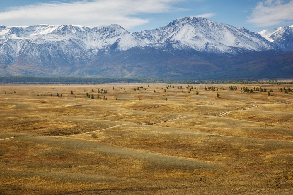 Курайская степь