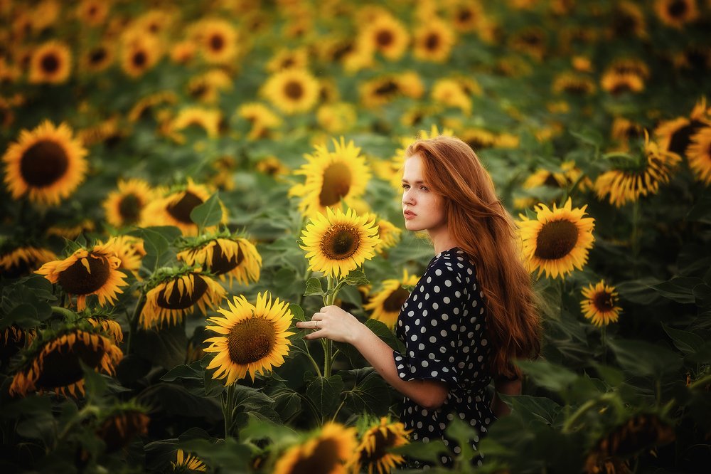 Photograph by Сергей Шкрябий