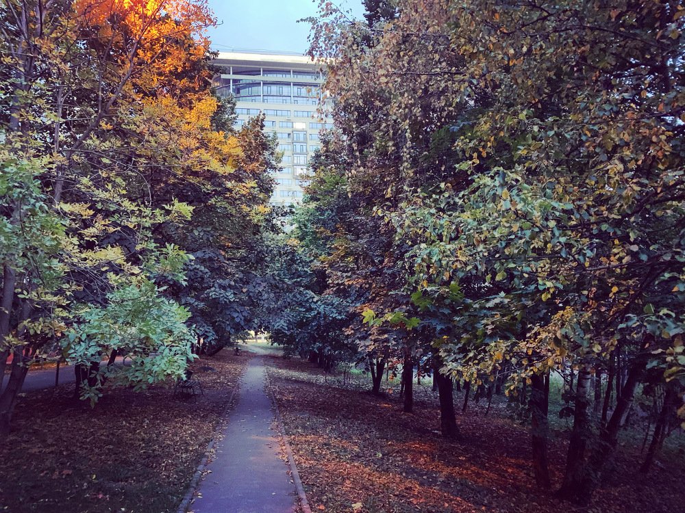 Photograph by Иван Муравьев