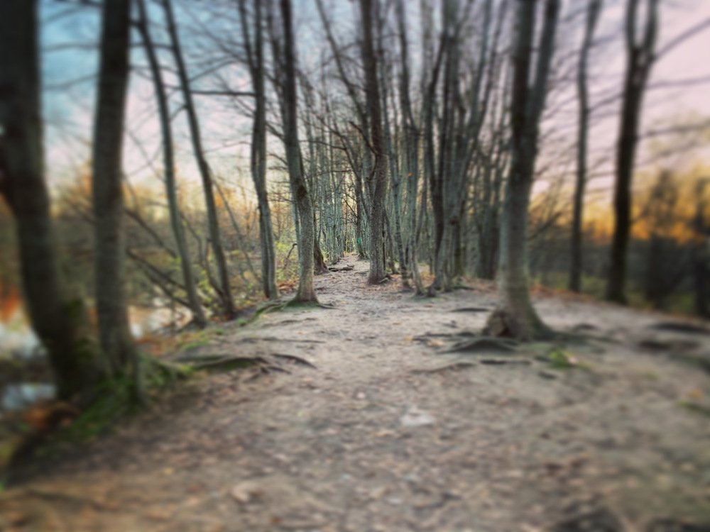 Photograph by Иван Муравьев