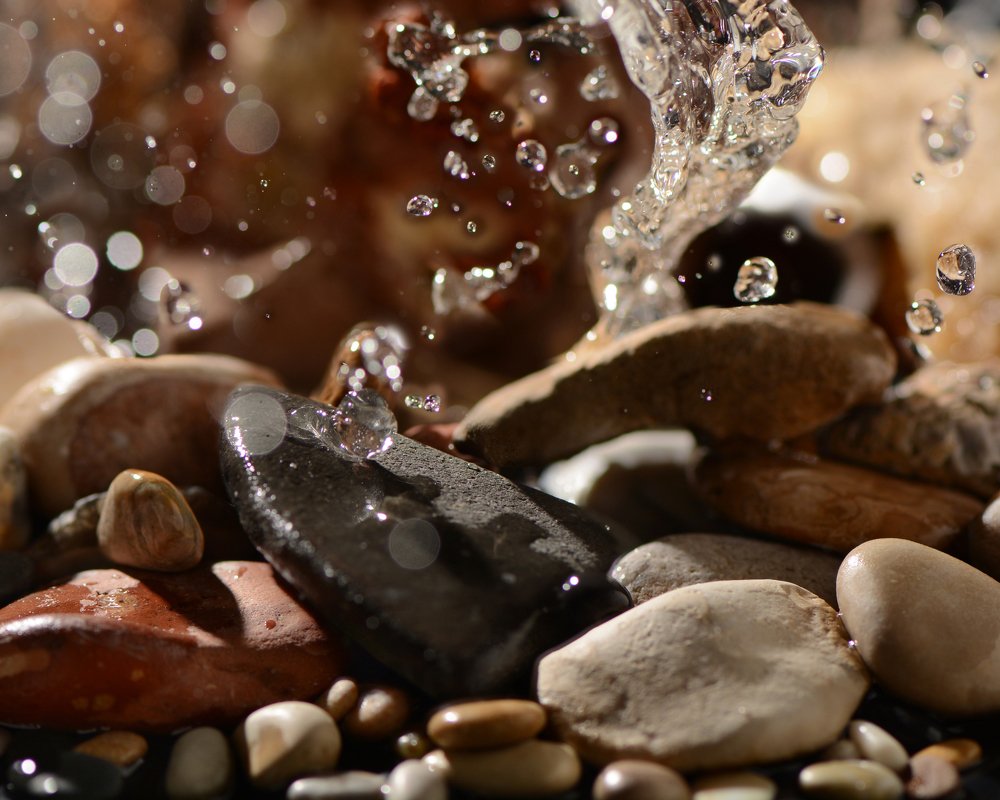 Фотография автора Ася Бабушкина