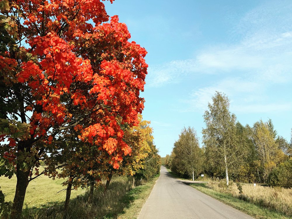 Photograph by Иван Муравьев