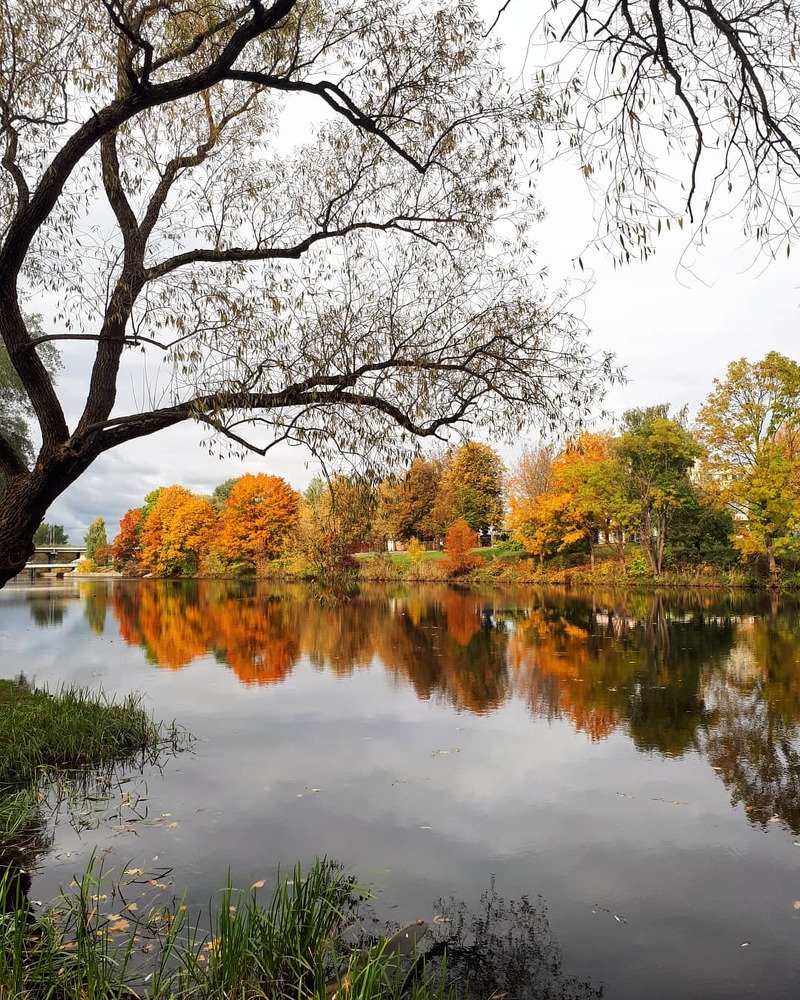 Photograph by Ирина Калюжная