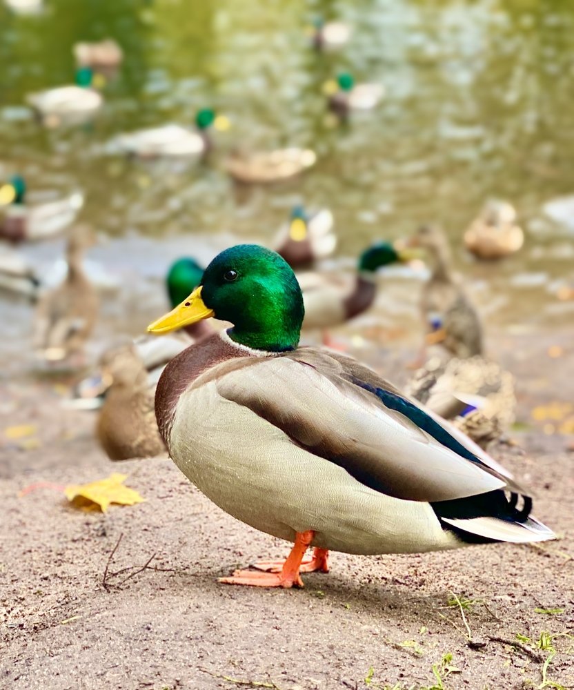 Photograph by Виталина Саврова