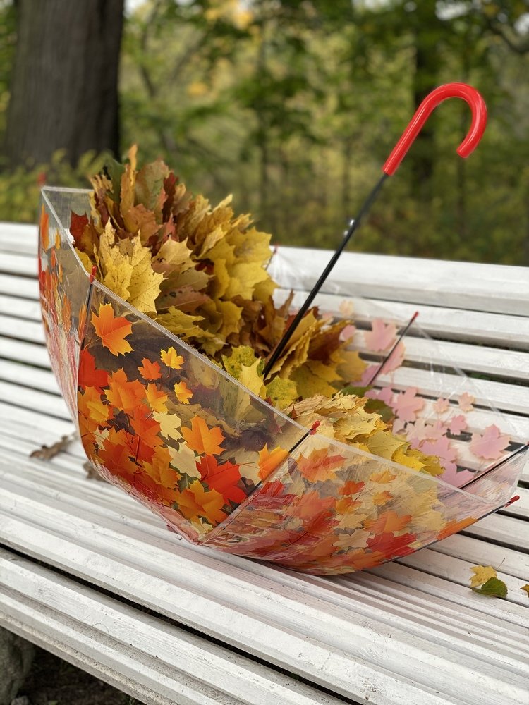 Яркая осень в зонтике