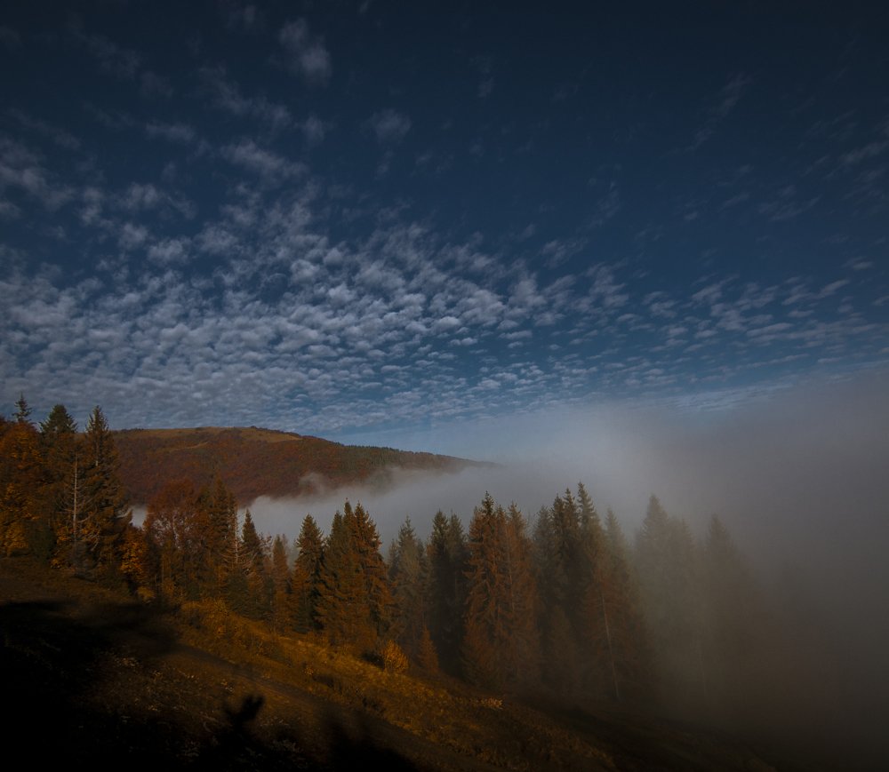 Photograph by Алина Миняйло
