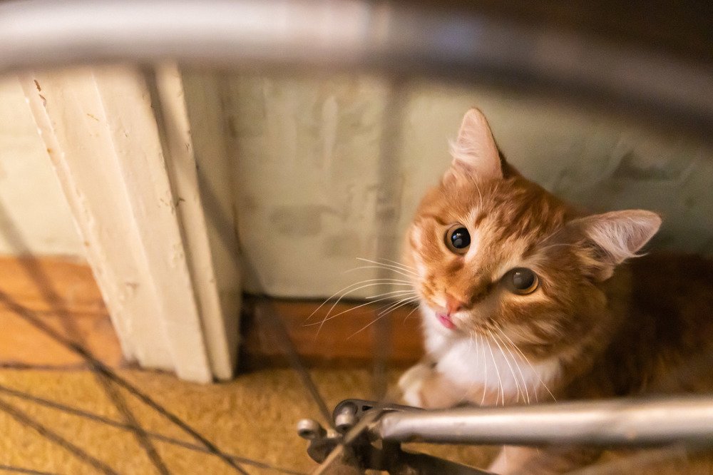 Photograph by Марина Стротова