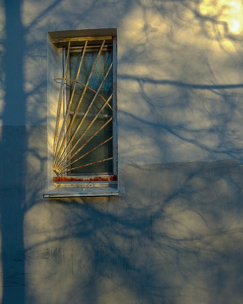 Фотография автора владимир шаронов