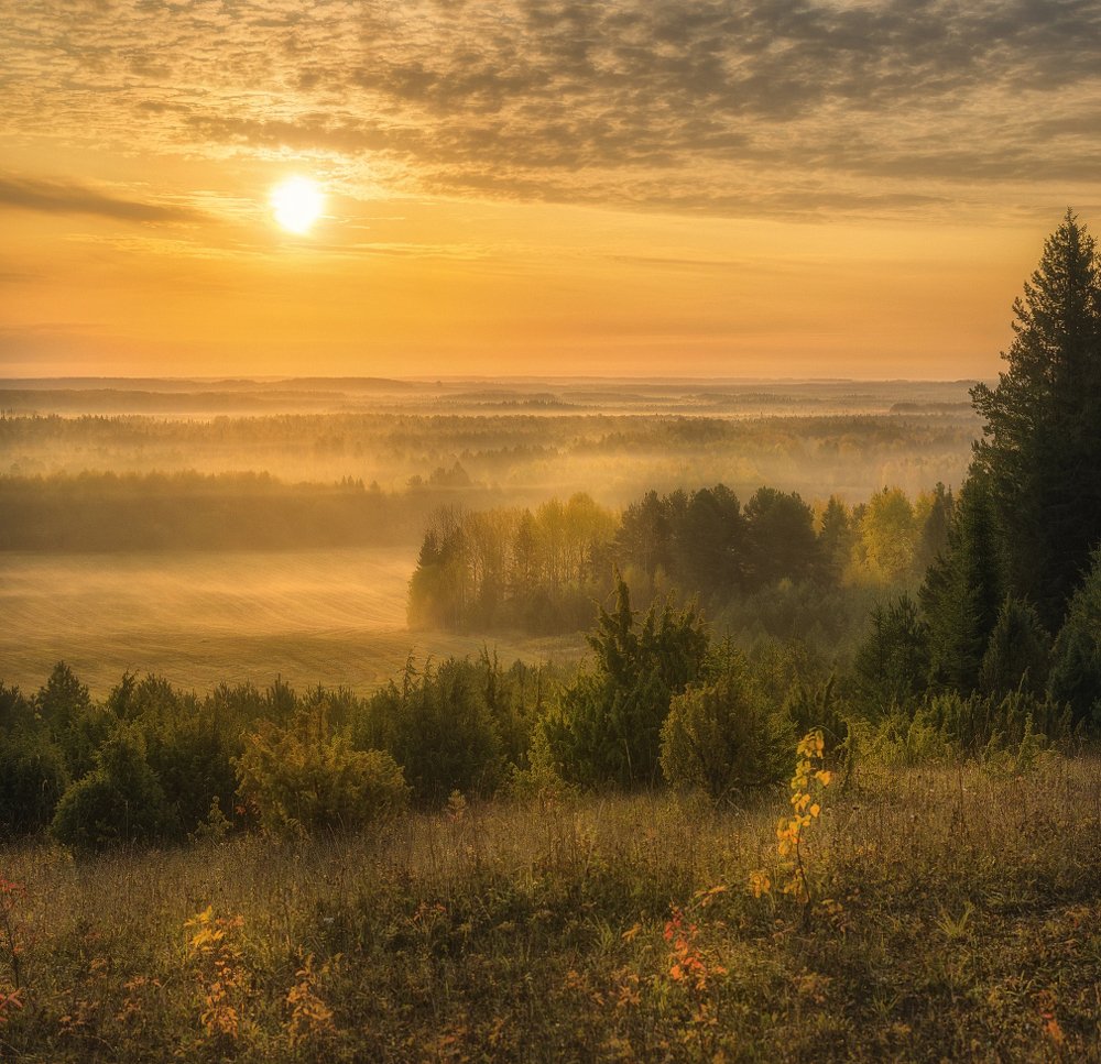 Photograph by Устюжанин Михаил