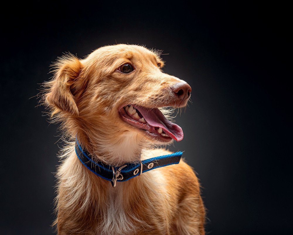 Photograph by Дмитрий Кошкаров