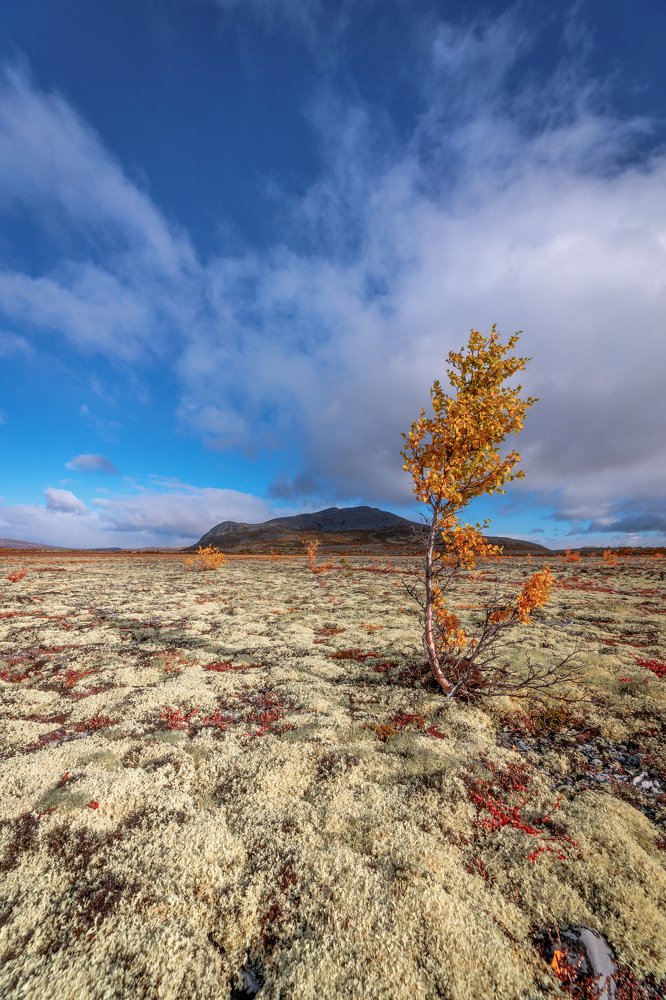 Photograph by Nikolai Mihhailov