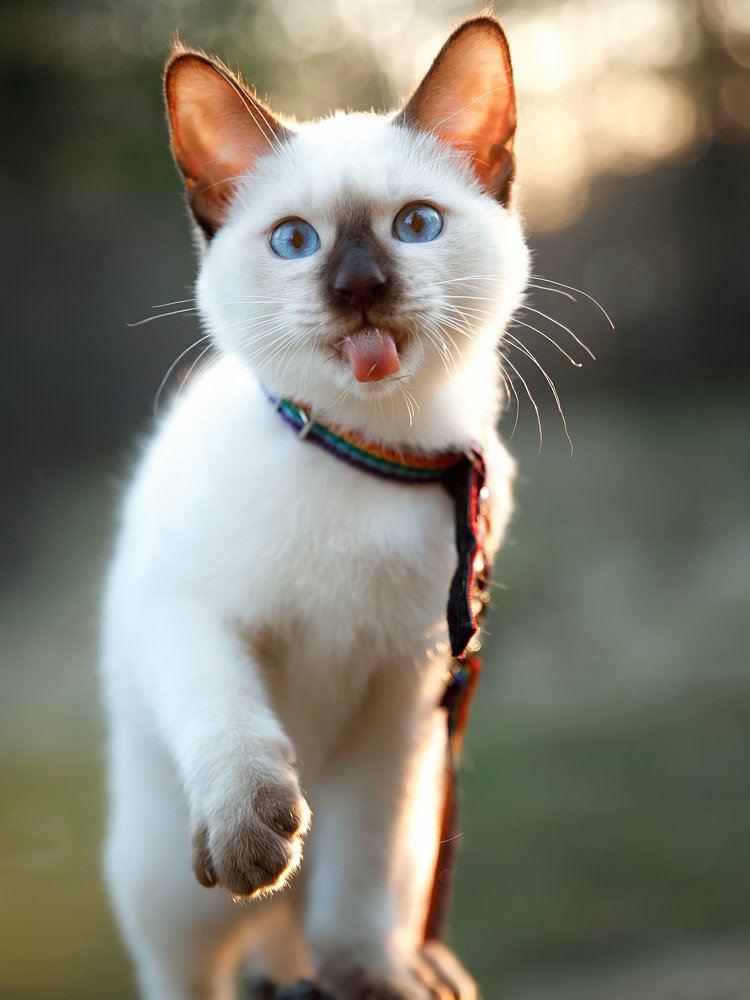 Photograph by Светлана Федоренко