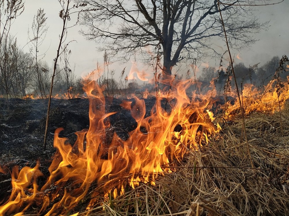 Всепоглощающий огонь. Завершение старого, начало нового