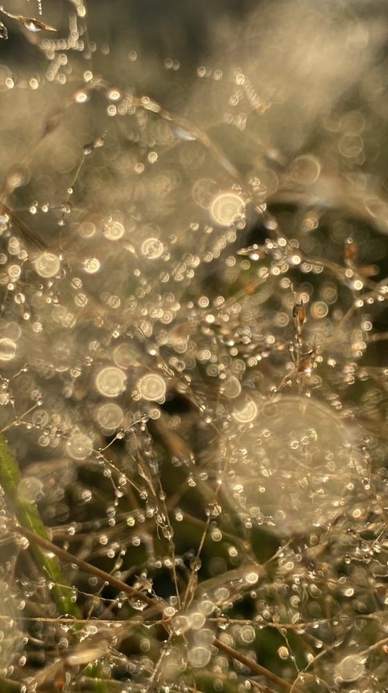 Photograph by Анатолий Андреев