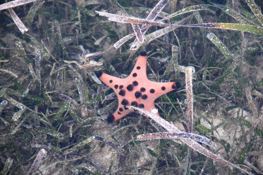 Photograph by Валентина