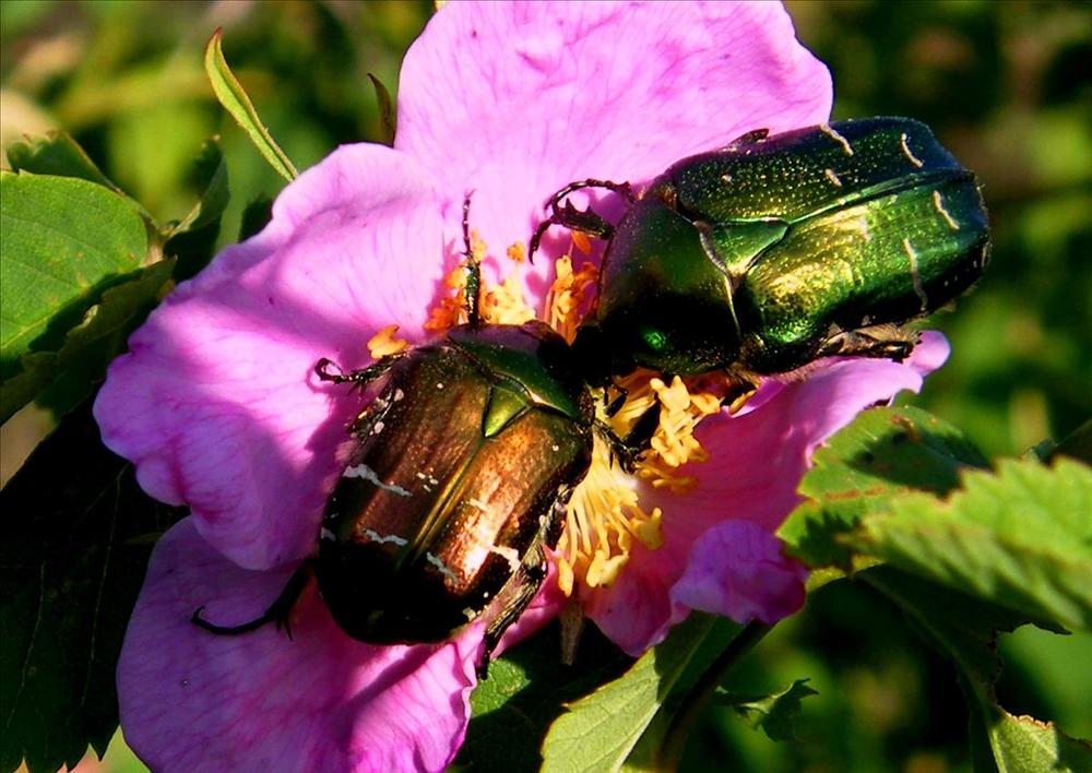 Photograph by Владимир Носов