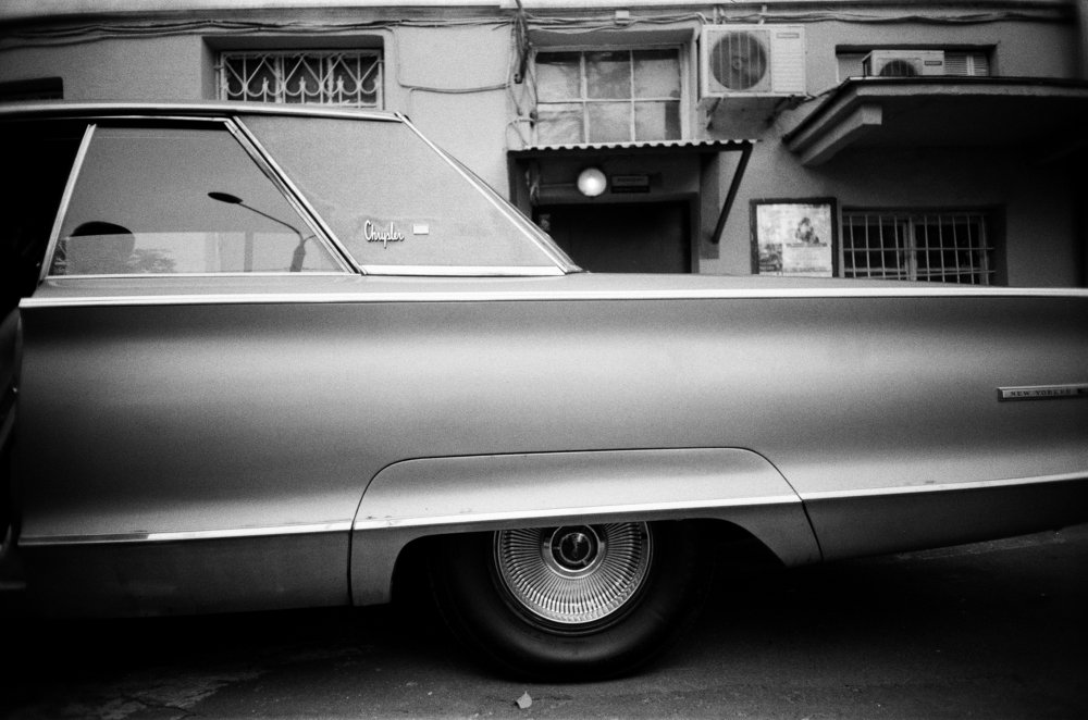 Фотография автора александра вебер