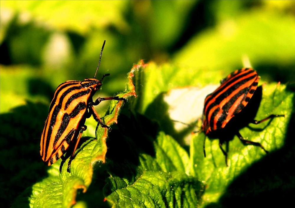 Photograph by Владимир Носов