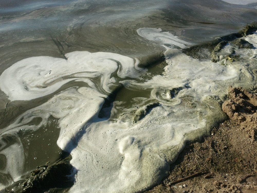 Photograph by Юлия