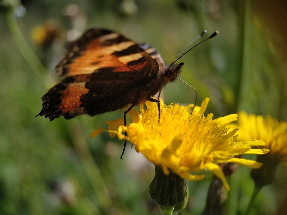 Photograph by Роксалана Лопатенкова