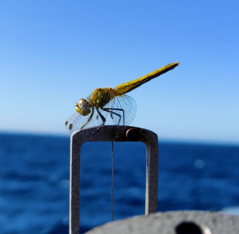 Фотография автора Иван Разиньков