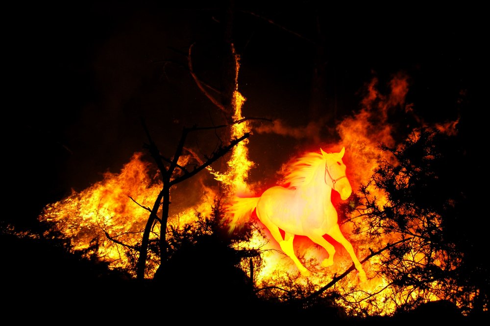 Photograph by Виктор Бурмистров